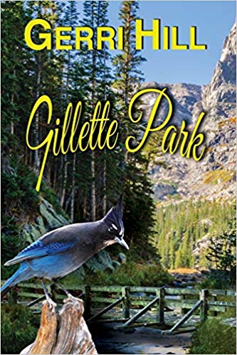 GilletteParkCover