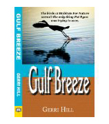 GulfBreezeCover